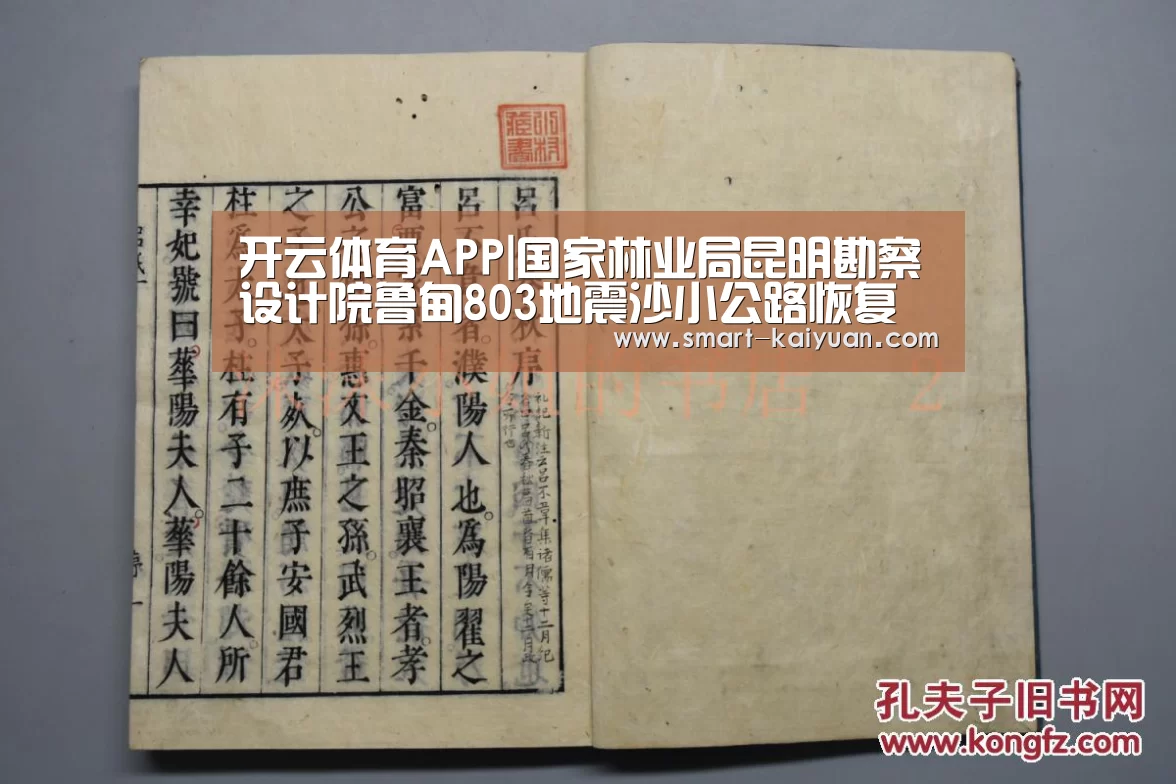 开云体育APP|国家林业局昆明勘察设计院鲁甸803地震沙小公路恢复重建顺利交工(图3) 开元